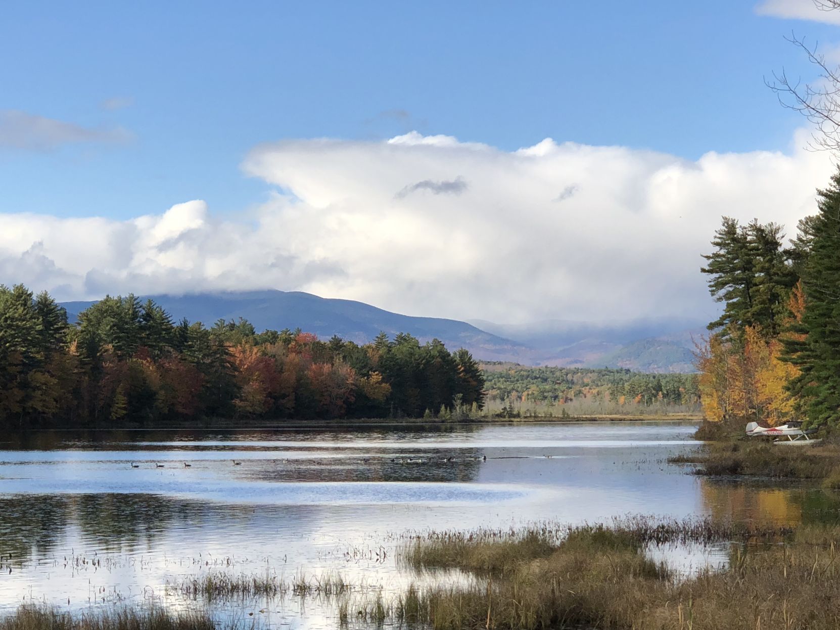 Reader Pics: Nov. 6